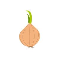 Cartoon onion isolated. Vector stock illustration of golden onion with green sprouts. Vegetable culture on a white background.