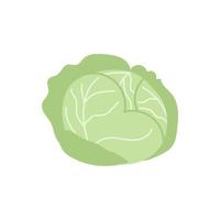 Cartoon white cabbage isolated. Vector stock illustration of white cabbage. Agricultural crop on a white background.