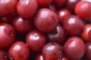 Juicy bright large cherry berries close-up macro photo. Berries with a red background. photo