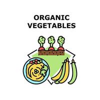 Organic Vegetables Concept Color Illustration vector