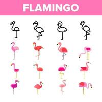 colección, pájaro, flamingo, vector, señal, iconos, conjunto vector