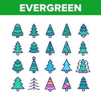 Evergreen Pine Tree Collection Icons Set Vector