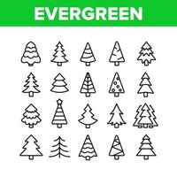 Evergreen Pine Tree Collection Icons Set Vector