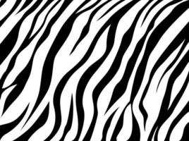 skin zebra pattern vector