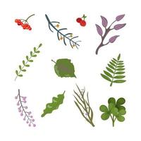 A set of abstract leaves and berries. Vector illustration.