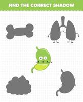 Education game for children find the correct shadow set of cute cartoon human organ stomach vector