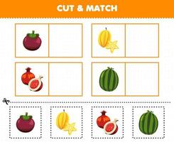 Education game for children cut and match the same picture of cartoon fruit mangosteen star fruit pomegranate watermelon printable worksheet vector