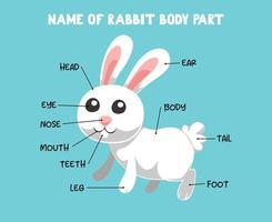 Name of cute cartoon rabbit body part for kids in english vector