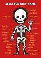 Name of cute cartoon human skeleton part for kids in english