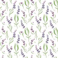 pattern floral witch flowers of lavender vector