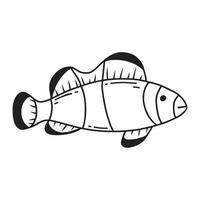 Cute clown fish. Doodle style. Vector illustration. Striped fish.