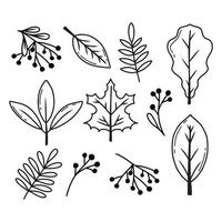 Set of autumn leaves. Hello, Autumn. Doodle style. Vector illustration. Leaf collection.