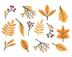 Autumn set. Autumn leaves berries. Drawn style. Collection of autumn plants. Vector illustration.