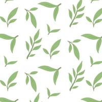 pattern with matcha. Vector illustration.Pattern with green tea.