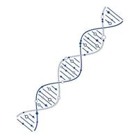 genetic dna model vector