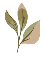 foliage nature icon vector