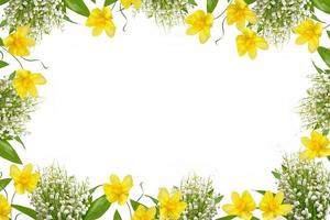 The branch of lilies of the valley flowers isolated on white background. photo