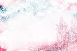 forest in the frost. Winter landscape. Snow covered trees. photo