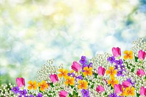 Colorful spring flowers photo