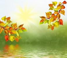 autumn landscape with bright colorful foliage. Indian summer. photo