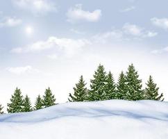 bosque en la escarcha. paisaje de invierno árboles cubiertos de nieve. foto