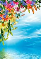 lily flowers on a background of blue sky with clouds photo