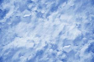 Background. Winter landscape. The texture of the snow photo