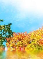 autumn landscape with colorful bright trees. Indian summer photo