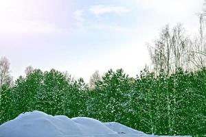 bosque. paisaje de invierno árboles cubiertos de nieve. fondo de navidad foto