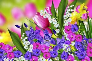 Spring flowers tulips and lilies of the valley photo