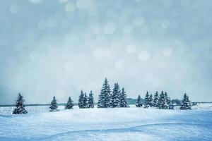 Frozen winter forest with snow covered trees. photo