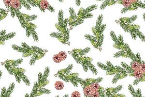 The branches of the snow covered tree Christmas tree photo