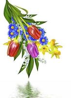 Spring flowers daffodils and lilies of the valley isolated on white background photo