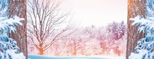 Frozen winter forest with snow covered trees. photo