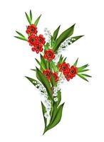 spring flowers tulips isolated on white background photo