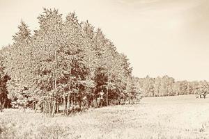 Autumn landscape. leaves. Colorful trees. Indian summer photo