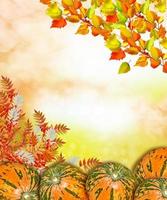 autumn landscape with bright colorful foliage. Indian summer. photo