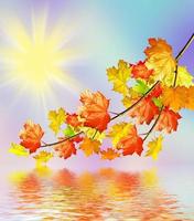 autumn landscape with bright colorful foliage. Indian summer. photo