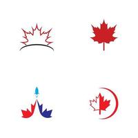 Maple leaf vector illustration design template