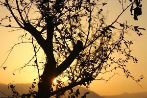 Sunrise at the Dead Sea in Israel. The sun comes out from behind the mountains in Jordan. photo