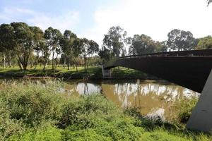 el río yarkon en el parque de la ciudad de tel aviv. foto