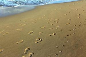 Footprints in the sand on the city beach. photo