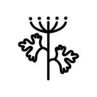 flowering coriander inflorescence icon vector outline illustration