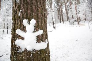 A snowman in the shape of a hare is stuck on the trunk of a tree. Fun winter activities and fun, children and family playing in the snow. Copy space photo