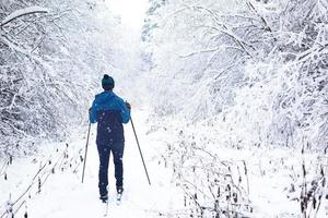 Skier in windbreaker and hat with pompom with ski poles in his hands with his back against the background of a snowy forest. Cross-country skiing in winter forest, outdoor sports, healthy lifestyle. photo