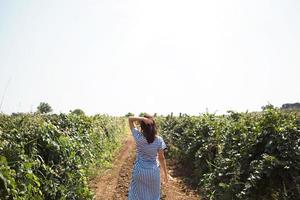 A tourist woman walks in a vineyard. Guided tour of the grape plantation. photo