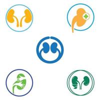 Kidney logo vector illusrtation