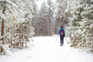 esquiador con mochila y sombrero con pompón con bastones de esquí en las manos sobre el fondo de un bosque nevado. esquí de fondo en bosque de invierno, deportes al aire libre, estilo de vida saludable, turismo de deportes de invierno. foto