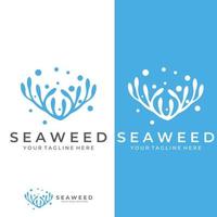 logotipo de algas marinas con diseño de vector de ilustración de plantilla.