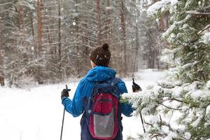 esquiador con mochila y sombrero con pompón con bastones de esquí en las manos sobre el fondo de un bosque nevado. esquí de fondo en bosque de invierno, deportes al aire libre, estilo de vida saludable, turismo de deportes de invierno. foto